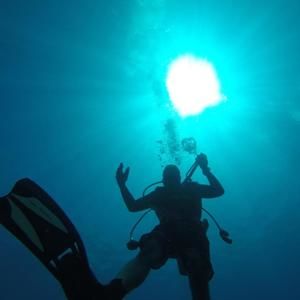 Meet your Posher, Franklin